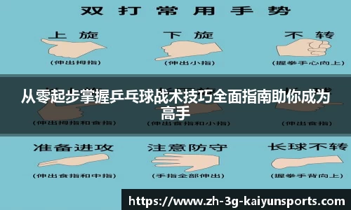 从零起步掌握乒乓球战术技巧全面指南助你成为高手